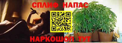 apvp Ставрополь
