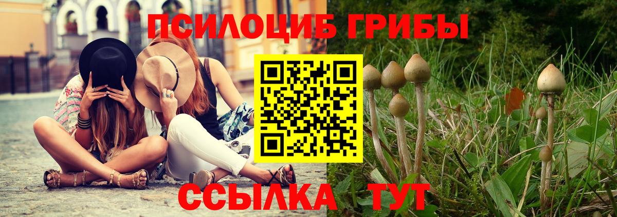 Псилоцибиновые грибы мухоморы  Вход с VPN  Орехово-Зуево 